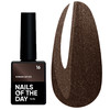 Гель-лак NAILSOFTHEDAY Korean cat eye 16 коричневый 10 мл - Фото №1