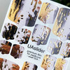Pedicure film UAslider №MWF 004 - Фото №2