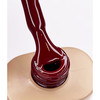 Gel polish DARK New collection 010 burgundy 6 ml - Фото №3