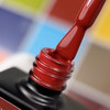 Lakier hybrydowy NAILSOFTHEDAY Let's special Pantone 2025/8 bordowy 10 ml - Фото №2