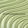 Gel polish NAILSOFTHEDAY 240 Cabbage green 10 ml - Фото №2