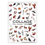 Слайдер дизайн Crystaloff Collage full color 36  животные