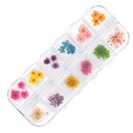 Декор для ногтей сухоцветы в коробке Molly Nails тип B 36 шт