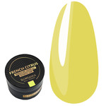 Gel paint Slowianka French Citrus 5 g
