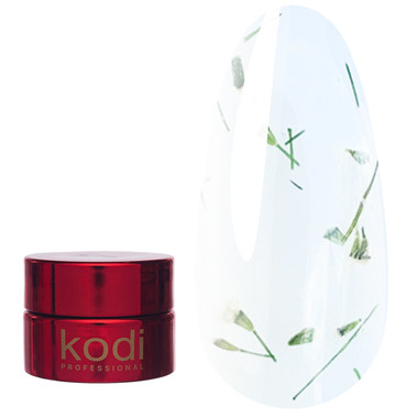 Dried flower gel Kodi Flower №01 transparent 4 g