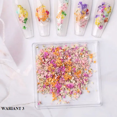 Декор для ногтей сухоцветы MANY BEAUTY в коробке WARIANT 3 - Фото №2