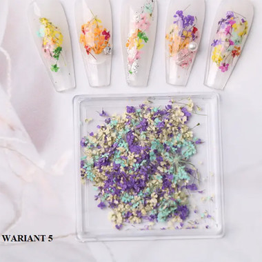 Suszone kwiaty MANY BEAUTY na paznokcie w kasetce WARIANT 2 - Фото №2
