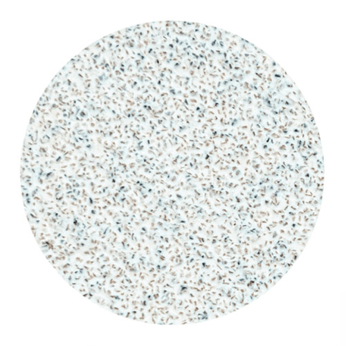 Сменные белые файлы для педикюрного диска PODODISC STALEKS PRO M 80 грит (50 шт) - Фото №2