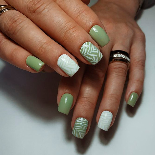 Autumn Manicure 2024 (Olive Stamping)