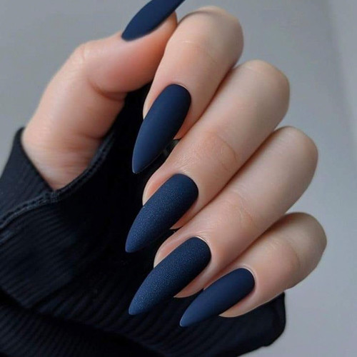Autumn Manicure 2024 (Dark Blue on Long Nails)