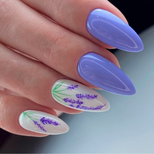 Spring Designs (Floral)