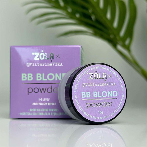 ZOLA Viktorina Vika Rozświetlający Fioletowy Puder do Brwi BB Powder 10 g - Фото №3