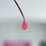 Zel budujący NAILSOFTHEDAY Builder gel 051 Vitrage różowy 15 ml - Фото №3