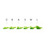 Wałki silikonowe Rarity Emerald Frogs 6 par (A, B, C, S, M, L) - Фото №2